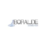 300x300-Boralde-diff